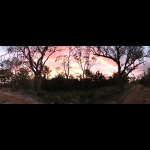 Meet your Posher, Georgina